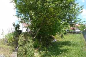 Mehrfamilienhaus mit 3 Wohneinheiten in Ochsenfurt – Würzburg (Kreis) – Vorschaubild 3