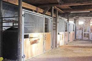 Niedersachsen, Landkreis Cuxhaven, Wurster Nordseeküste - Gutshof, Reitimmobilie mit Stallungen – Die vollständige Adresse der Immobilie erhältst du vom Anbieter., 27637 Nordholz – Vorschaubild 12