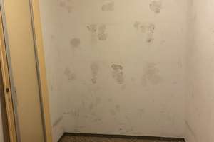 1-Zimmerwohnung mit Sanierungspotenzial in den Pichelsdorfer Seehäusern – Am Pichelssee 8, 13595 Wilhelmstadt, Berlin – Vorschaubild 8