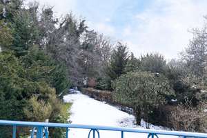 Property thumbnail 34