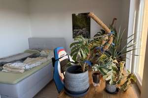 Ruhige Dachgeschosswohnung im Herzen von Zamdorf, mitten im Grünen. – Die vollständige Adresse der Immobilie erhältst du vom Anbieter., 81929 Englschalking, München – Vorschaubild 4