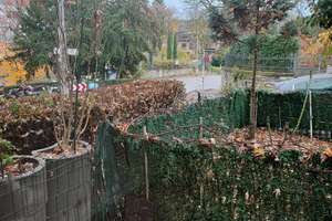 Top-Lage, 3,5-Zimmerwohnung + Gartenparadies