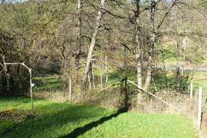 Wohnen im ehemaligen Forsthaus inmitten der Natur – 63937 Weilbach – Vorschaubild 19