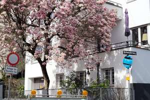 WG - Zimmer in Stuttgart- West für Studentinnen – Schweglerweg 1, 70193 Hölderlinplatz, Stuttgart – Vorschaubild 10