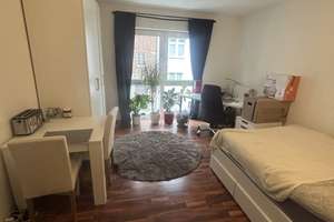 Gepflegtes Apartment in Altstadtnähe - mit Pantryküche inkl. Induktion, Spülmaschine, Kühlschrank