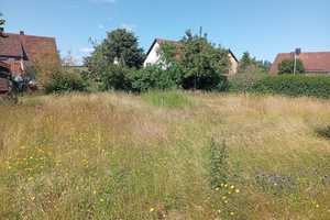 Grundstück mit Altbestand – Viel Raum für neue Ideen in Wiesau – Sommerstr. 6, 95676 Tirschenreuth (Kreis) – Vorschaubild 2