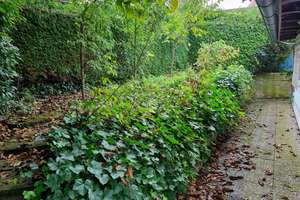 Charmantes Einfamilienhaus mit Wintergarten, Sauna, offenem Büro und vielseitigem Kellerbereich – Die vollständige Adresse der Immobilie erhältst du vom Anbieter., 91757 Treuchtlingen – Vorschaubild 21