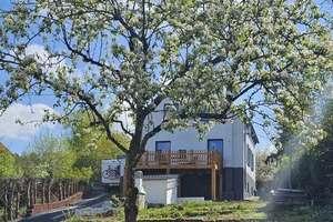 Haus Kaufen Kernsaniert Rheinland Pfalz, Nafionalpark Hunsrück (3347) – Sportplazstr 5, 54413 Damflos – Vorschaubild 4