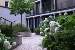 Property thumbnail 13