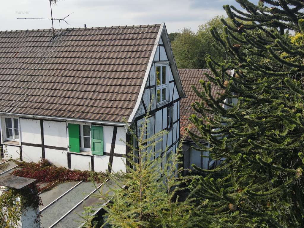 Immobilie in Leichlingen - Fachwerkhaus mit Halle auf riesigem Grundstück. Ideal für Tierhaltung und Gewerbe - Bild 1