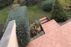 Das ideale Umfeld für Ihre Familie – Die vollständige Adresse der Immobilie erhältst du vom Anbieter., 6846 Ziebigk, Dessau-Roßlau – Vorschaubild 3