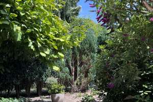 Property thumbnail 14