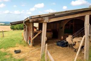 Einzigartiges Anwesen mit großzügigem 2-Familienhaus, Gewerbeeinheit und Möglichkeit zur Tierhaltung – Die vollständige Adresse der Immobilie erhältst du vom Anbieter., 84181 Neufraunhofen – Vorschaubild 28