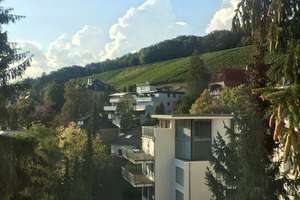 Wiesbaden-Neroberg, möblierte Dachgeschosswohnung – Die vollständige Adresse der Immobilie erhältst du vom Anbieter., 65193 Nordost, Wiesbaden – Vorschaubild 10