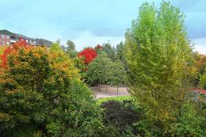 Property thumbnail 16