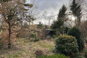 Property thumbnail 12