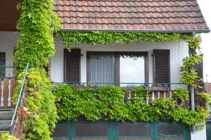 Mehrfamilienhaus / Doppenhaushälfte – Merzig-Wadern (Kreis) – Vorschaubild 2