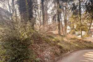 Bullerbü -  Oben am Hang  mit PKW Zufahrt - gepflegtes  Familienhaus im Eißendorfer  Villenviertel – Grosse Straße 00, 21075 Hamburg – Vorschaubild 13
