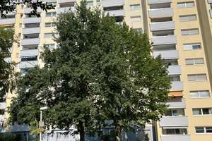 Helle 2-Zimmer-Wohnung mit Balkon, Aufzug und Blick über die Dächer Lehndorfs – Die vollständige Adresse der Immobilie erhältst du vom Anbieter., 38116 Lehndorf-Watenbüttel, Braunschweig – Vorschaubild 3