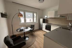 1-Zimmer-Apartment - kernsaniert/vollmöbliert - neu im Nürnberger Stadtteil St. Peter – Die vollständige Adresse der Immobilie erhältst du vom Anbieter., 90478 Glockenhof, Nürnberg – Vorschaubild 7
