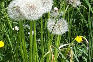 Property thumbnail 47