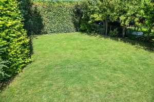 Familienfreundlicher Bungalow in Pavenstädt mit schönem Garten und Garage - In attraktiver Lage! – Gütersloh (Kreis) – Vorschaubild 7