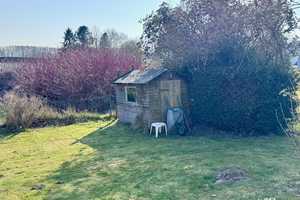 Sonniges Einfamilienhaus mit Carport und Garten! – Rügen (Kreis) – Vorschaubild 6