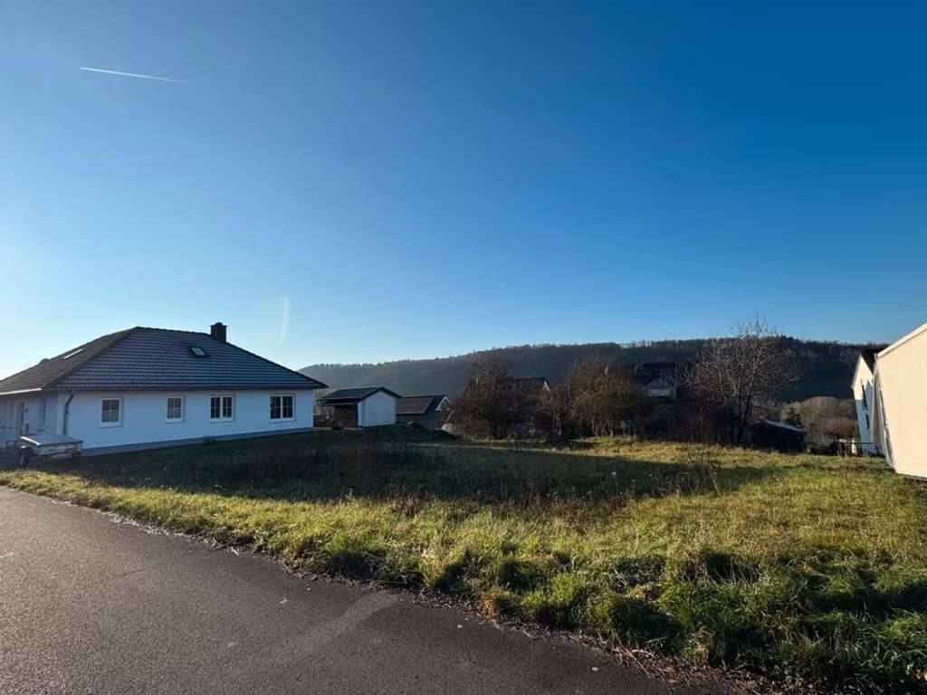 Immobilie in Wiltingen - Bestpreisgarantie bei Bien-Zenker - Die Realisierung Ihrer Wünsche in Wiltingen - Bild 4