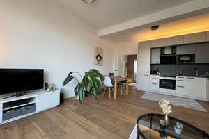 Bezugsfreie, luxuriös renovierte Penthousewohnung in Darmstadt – Ingelheimerstrasse 1, 64295 Darmstadt-West, Darmstadt – Vorschaubild 7