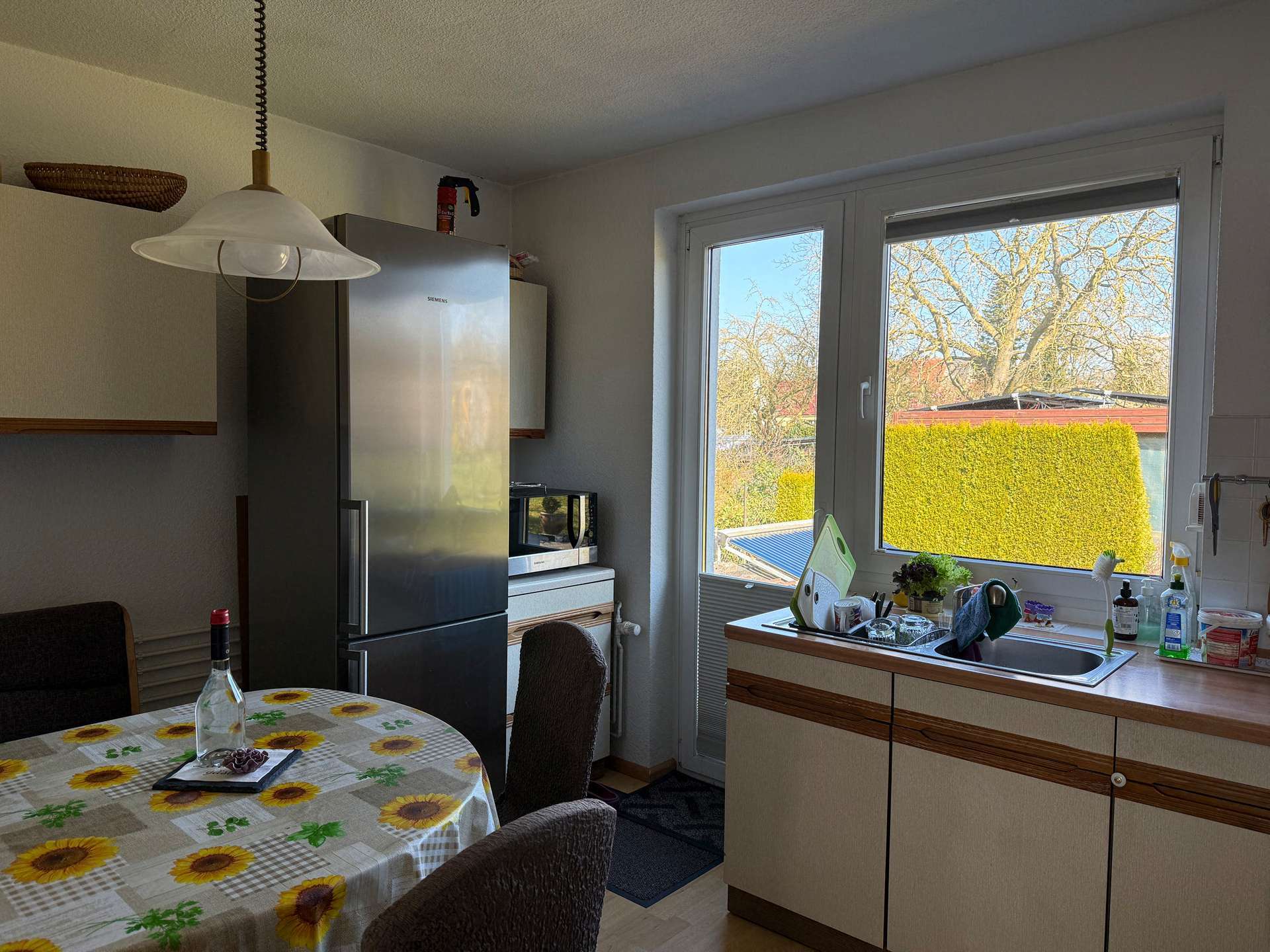 Immobilie in Bad Doberan - Einfamilienhaus mit viel potenzial und gepflegtem Grundstück - Bild 3