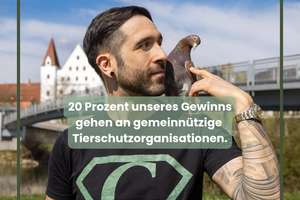Erstbezug: Lichtdurchflutete neu erbaute Dachgeschosswohnung über dem Norden Ingolstadts – Kleiststr. 41, 85055 Nordost, Ingolstadt – Vorschaubild 14