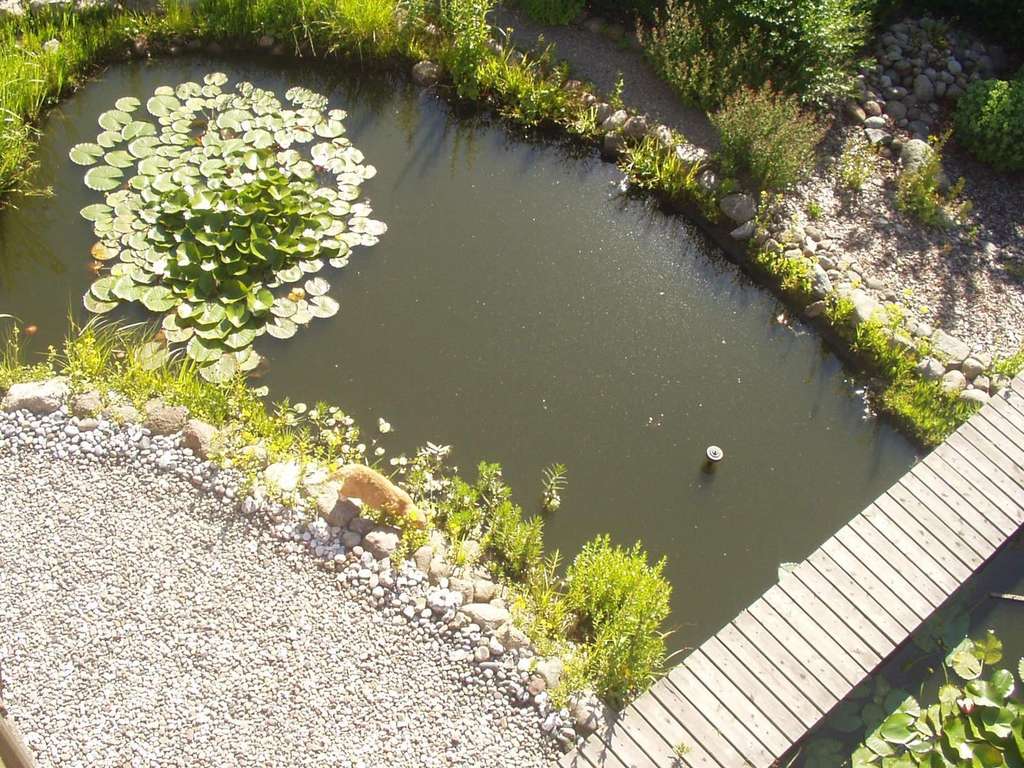 Immobilie in Spantekow - Galerieholländer-Mühle in Vorpommern - Liebhaberobjekt - Bild 4