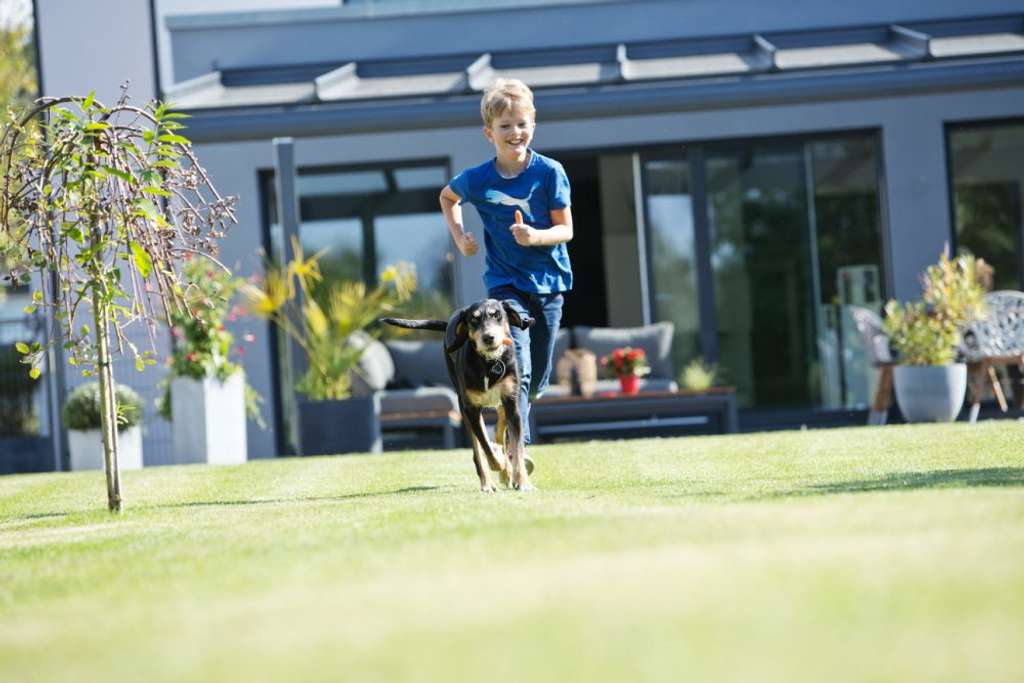 Immobilie in Dombühl - Geräumiges Familienhaus: komfortable und effizient - Bild 0