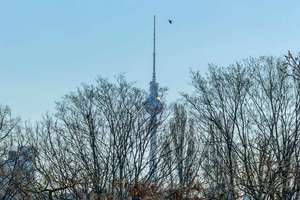 Fernblick bis zum Fernsehturm – helle Wohnung in Toplage – Die vollständige Adresse der Immobilie erhältst du vom Anbieter., 13355 Gesundbrunnen, Berlin – Vorschaubild 3