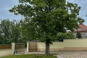 Exklusive Villa in Gartenstadt mit großem Grundstück und Pool bei Leipzig und Halle – Saalekreis – Vorschaubild 6