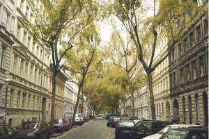 Property thumbnail 16