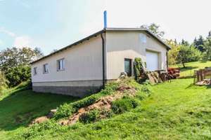 Zweifamilienhaus mit Einliegerwohnung, Gewerbehalle, Garagen, Werkstatt und Garten in ruhiger Lage – Die vollständige Adresse der Immobilie erhältst du vom Anbieter., 93182 Duggendorf – Vorschaubild 21