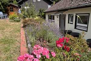 Sehr gepflegtes Wohnhaus mit Einliegerwohnung in fantastischer Südhanglage von Daaden. – Altenkirchen (Westerwald) (Kreis) – Vorschaubild 5