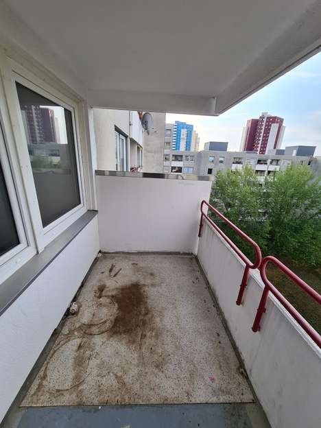 Staaken Spandau Lichtdurchflutete 2 Zimmer Wohnung Im Spandauer Kiez Wohnungen Immobilien Berlin De