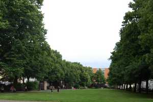 *** Schöne 2. Zimmer Wohnung mit Terrasse *** – Platz der Republik 40a, 42107 Wuppertal – Vorschaubild 14