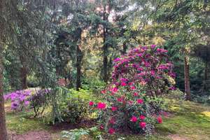 Exklusives Wohnen inmitten der Natur – 33689 Sennestadt, Bielefeld – Vorschaubild 17