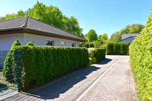 Bungalow in der Vinetastadt Barth nur 13 km von der Ostsee entfernt – Nordvorpommern (Kreis) – Vorschaubild 2