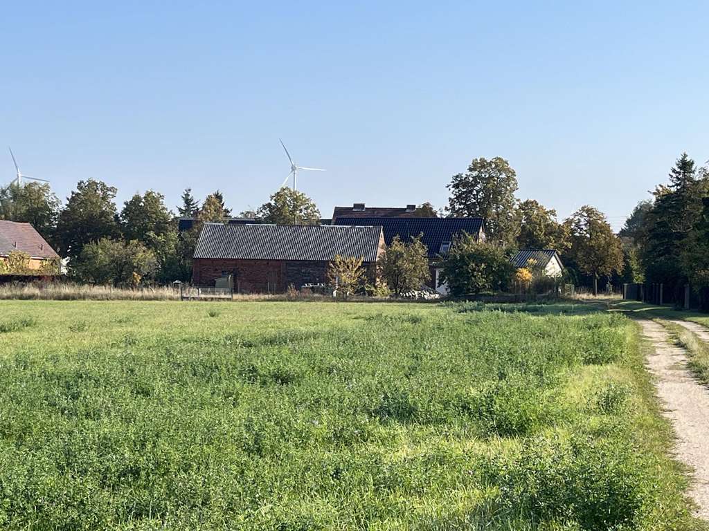 Immobilie in Massen-Niederlausitz - Ihr Familienparadies im Grünen - Bild 2