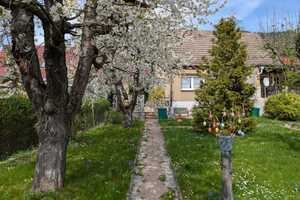 geräumiges Einfamilienhaus in ruhiger Lage – Jena – Vorschaubild 6