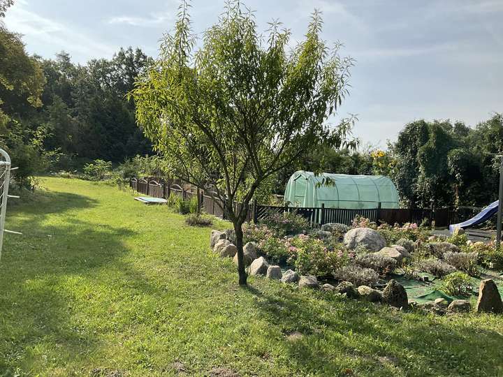 Rosen steinrondell Gemüse Toma