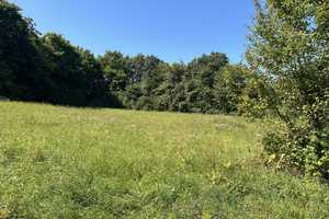 Koblenz - Wohnen am Stadtrand mit Blick auf Wiesen und Felder! – Koblenz – Vorschaubild 8