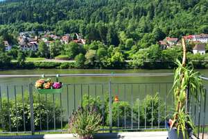Geschmackvolle 3-Zimmer - Toller Ausblick -E.Auto laden – Brahmsstraße 26-1, 69118 Ziegelhausen, Heidelberg – Vorschaubild 8