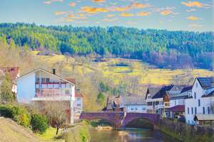 3 Wohneinheiten inkl. Gewerbeeinheit - Für Aufteiler oder Investoren! – Sulzer Str. 3, 72218 Wildberg – Vorschaubild 43