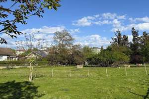 Zum Verkauf: exklusive Erdgeschosswohnung mit großer Terrasse und Garten – 79114 Betzenhausen-Bischofslinde, Freiburg im Breisgau – Vorschaubild 10