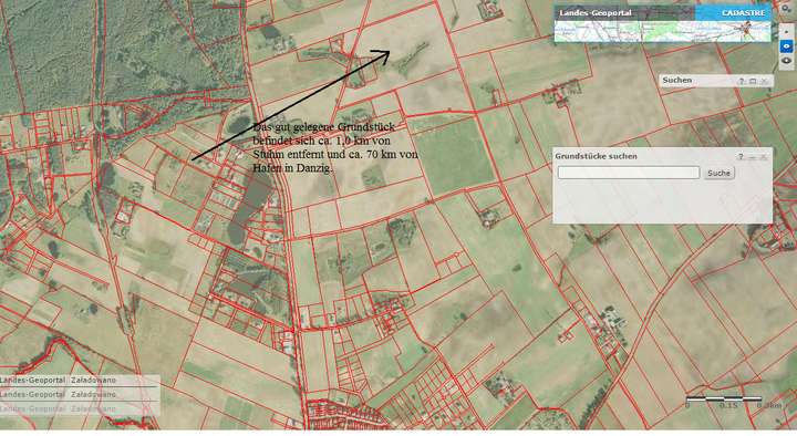 Truskawki ziemia Gdansk